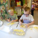 Blumengruppe